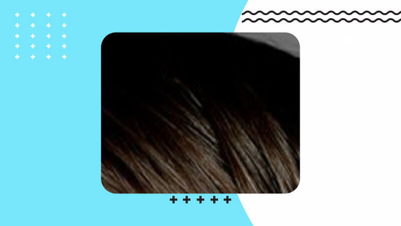 Jake Gyllenhaal or a Pug